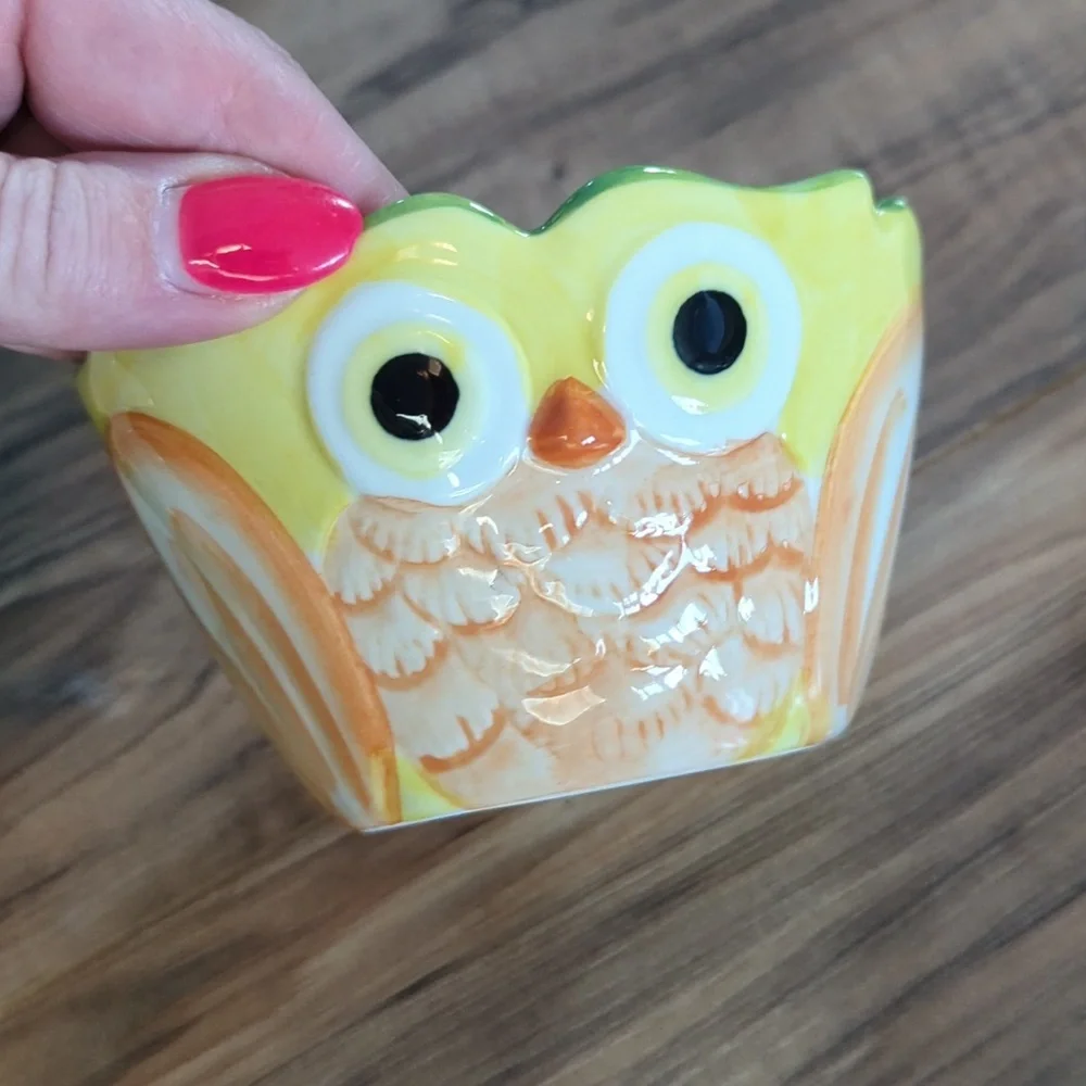 Pier 1 Imports Owl Design Nesting Measurin Bowls Set.